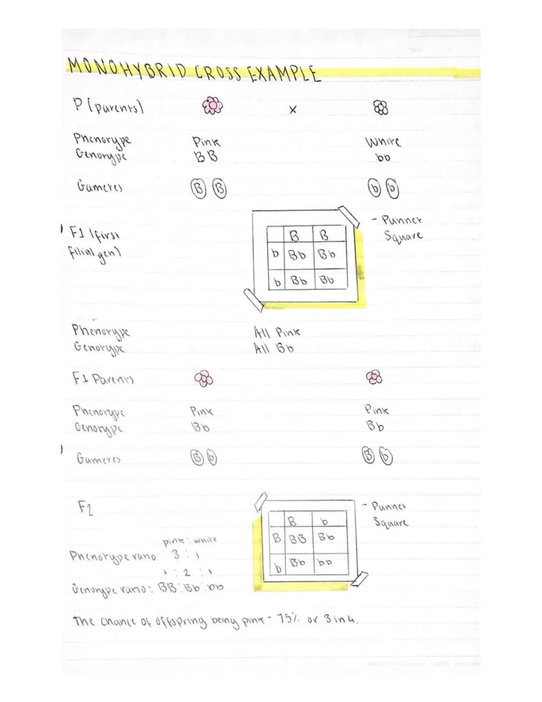 poduring-nenat
چیفر
cours
mill
cell division
UNIT 2 KAI
8105121
-micro-organisms grow through cell division
-cell division is essential to a
