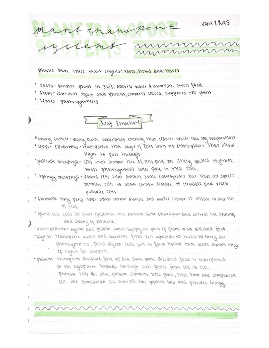 poduring-nenat
چیفر
cours
mill
cell division
UNIT 2 KAI
8105121
-micro-organisms grow through cell division
-cell division is essential to a