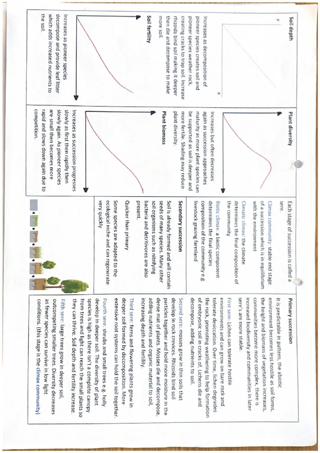 Populations and communities
Population: group of organisms of the same
species living in a particular area.
Biotic potential: maximum rate o