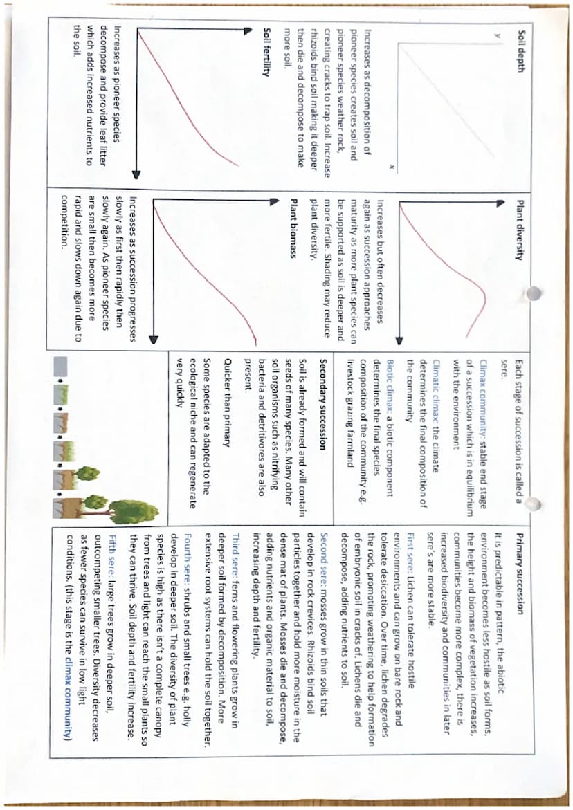 Populations and communities
Population: group of organisms of the same
species living in a particular area.
Biotic potential: maximum rate o