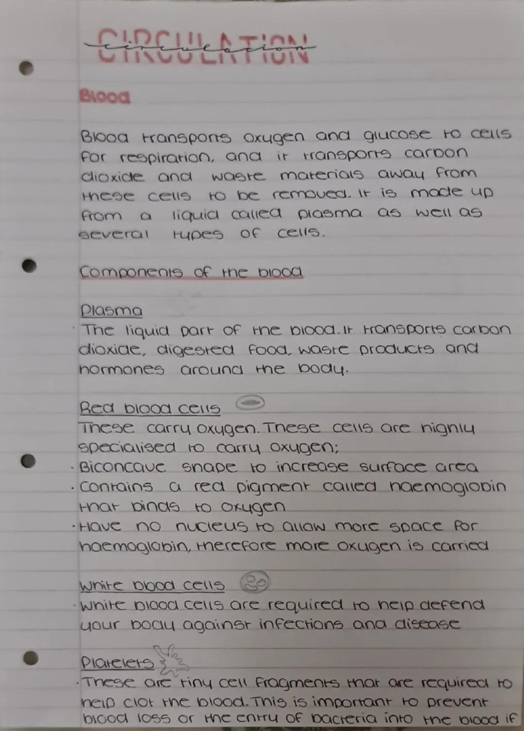 Circulatory system
why do we need a circulatory system?
For Hansport of materials - to deliver glucose ana
oxygen to all cells of the body a