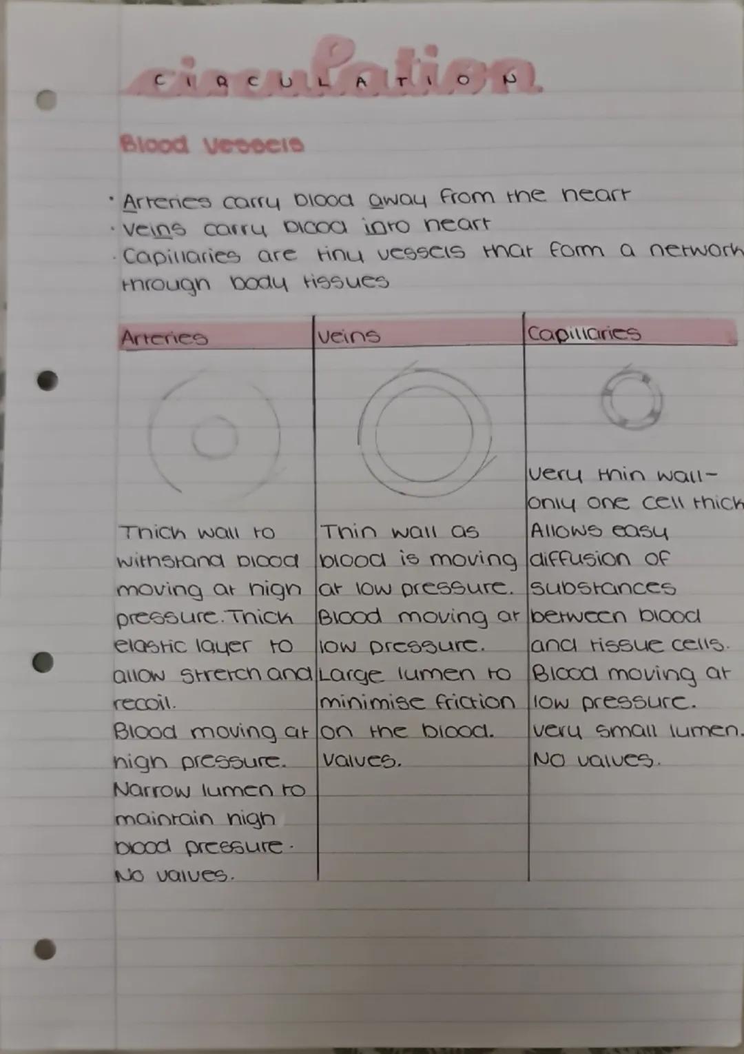 Circulatory system
why do we need a circulatory system?
For Hansport of materials - to deliver glucose ana
oxygen to all cells of the body a