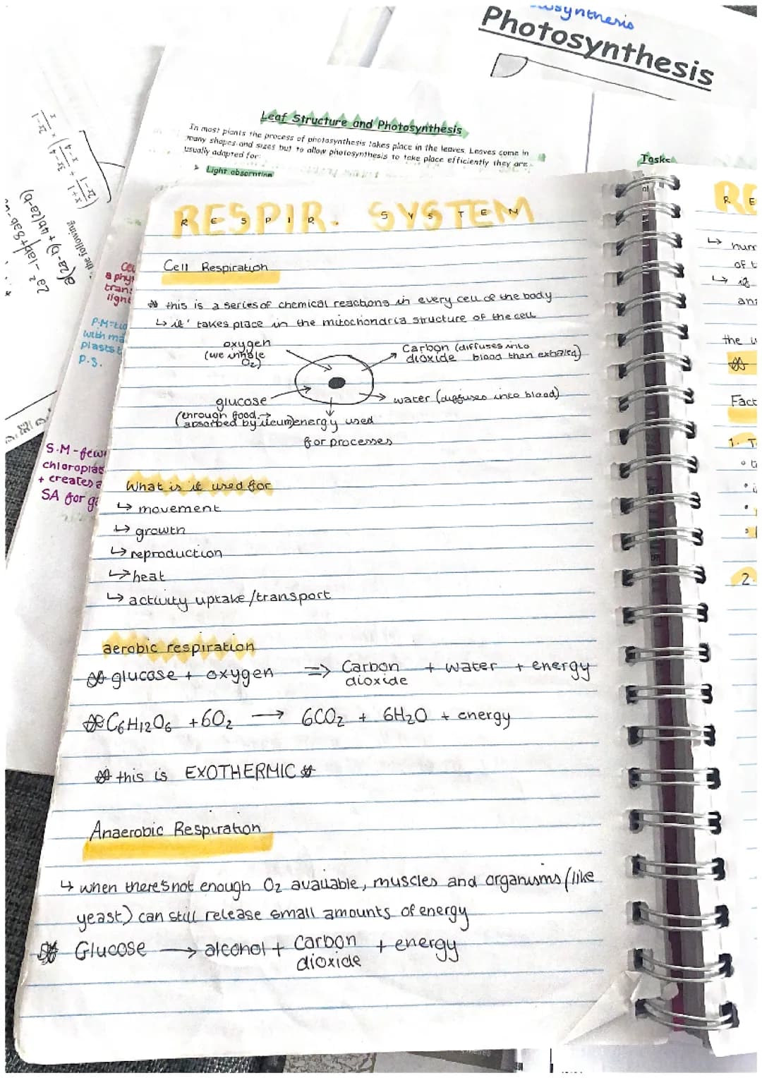 Biology AQA and CCEA coordination and control and respiration 