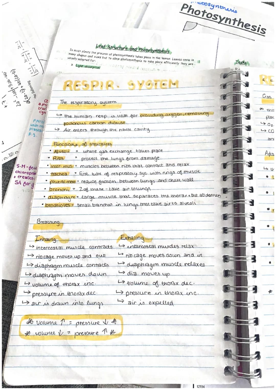 Za²-lab+8ab-
a(23-b)+4b(2a-b)
the following
synthesis
Photosynthesis
Ce
a phy
tran:
light
P-MTELO
with ma
plasts
P.S.
Leaf Structure and Pho