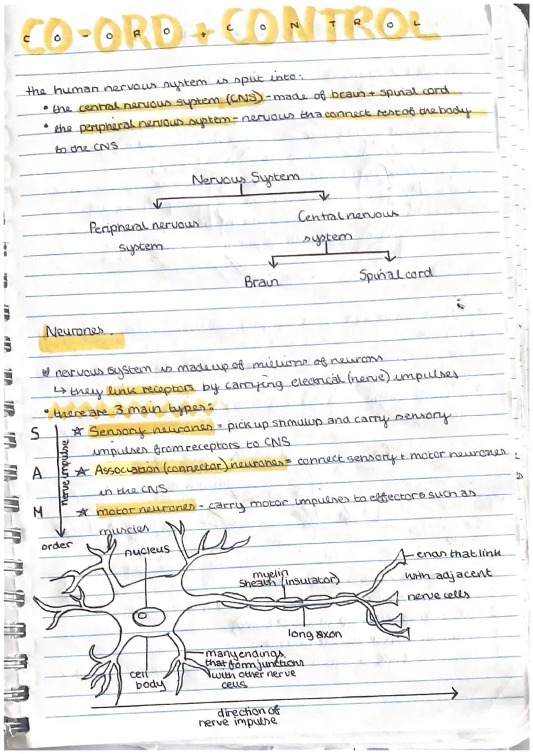 Za²-lab+8ab-
a(23-b)+4b(2a-b)
the following
synthesis
Photosynthesis
Ce
a phy
tran:
light
P-MTELO
with ma
plasts
P.S.
Leaf Structure and Pho
