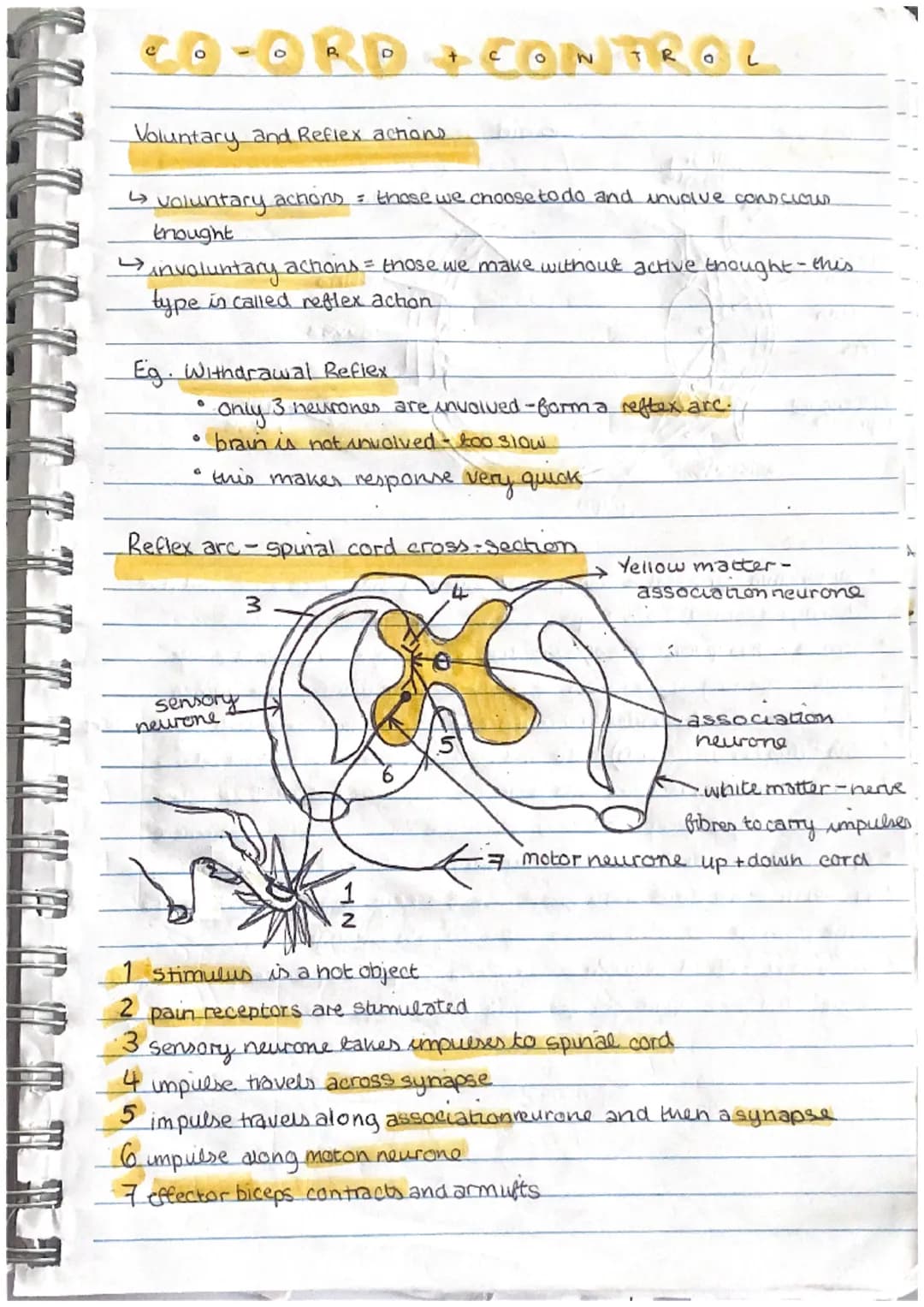 Za²-lab+8ab-
a(23-b)+4b(2a-b)
the following
synthesis
Photosynthesis
Ce
a phy
tran:
light
P-MTELO
with ma
plasts
P.S.
Leaf Structure and Pho