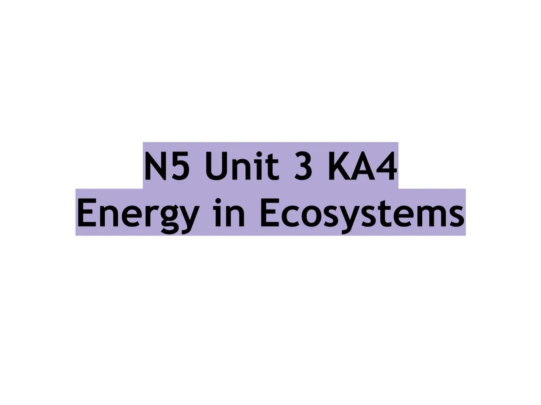 energy in ecosystems