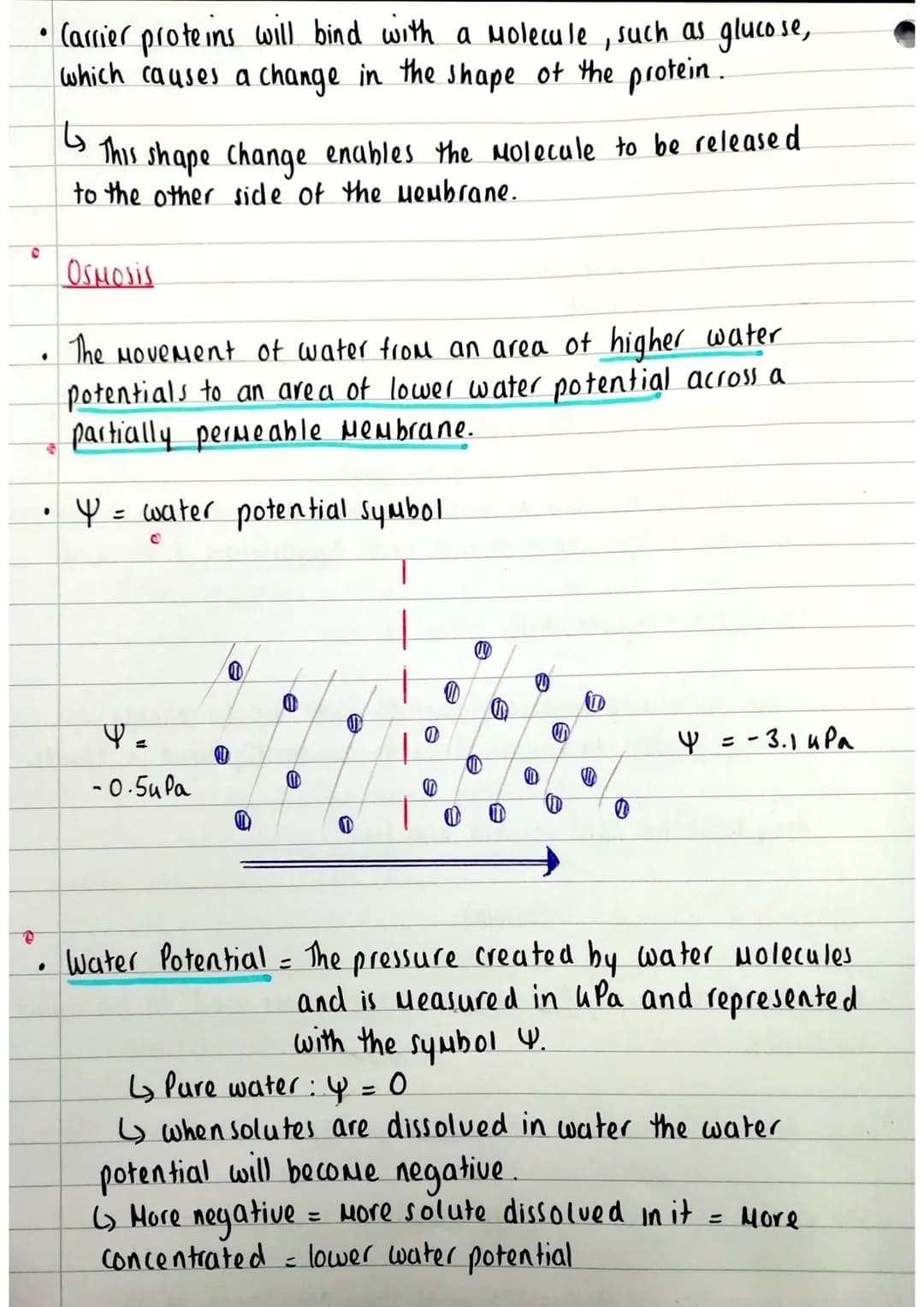 Source:
A-level
Biology-
Miss Estruch
YouTube
C
.
transport across cell membranes
Simple diffusion Facilitated diffusion. Osmosis. Active tr