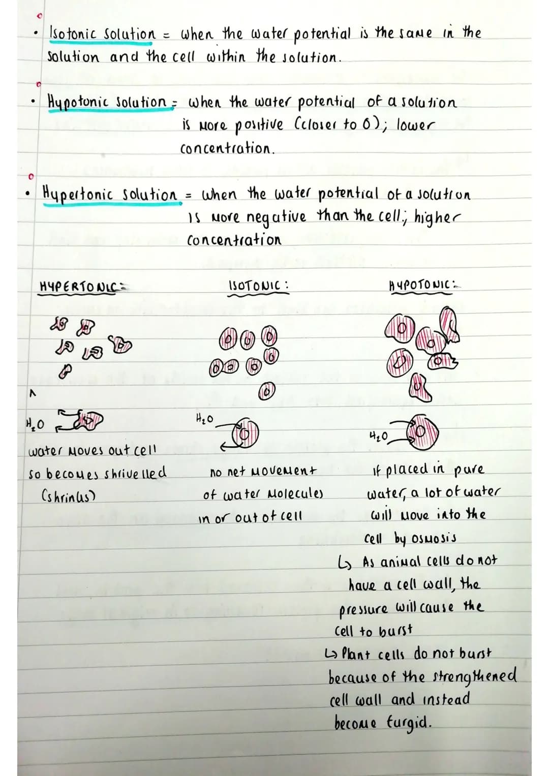 Source:
A-level
Biology-
Miss Estruch
YouTube
C
.
transport across cell membranes
Simple diffusion Facilitated diffusion. Osmosis. Active tr