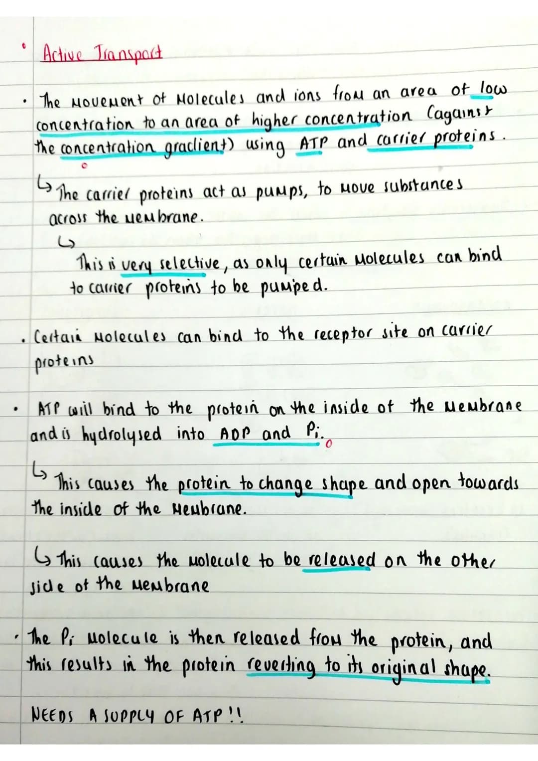 Source:
A-level
Biology-
Miss Estruch
YouTube
C
.
transport across cell membranes
Simple diffusion Facilitated diffusion. Osmosis. Active tr