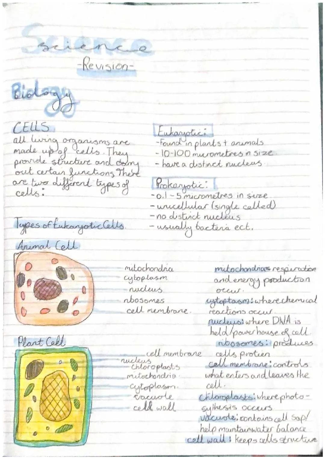 Year 10 Biology Revision Notes: Cells and Organisms PDF Guide