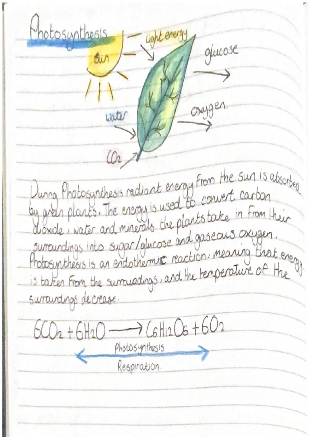 Smience
-Revision-
Biology
CELLS
all living organisms are
cells. They
, прод
provide structure and
out certain functions There
are two diffe