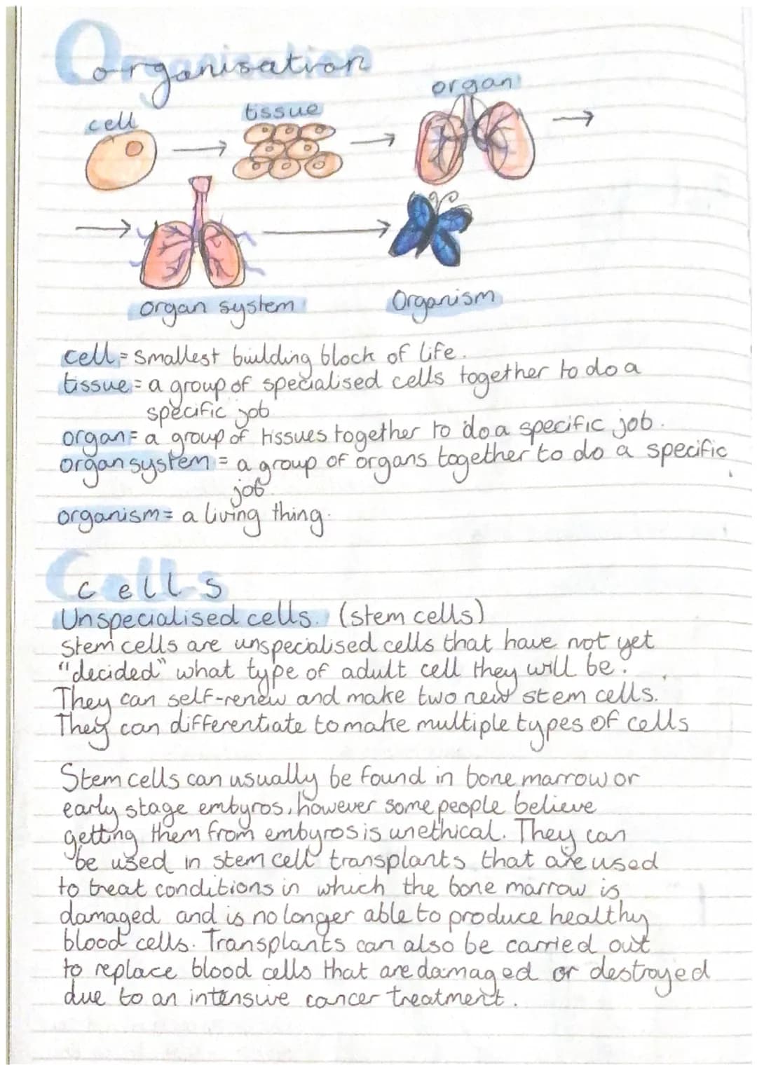 Smience
-Revision-
Biology
CELLS
all living organisms are
cells. They
, прод
provide structure and
out certain functions There
are two diffe