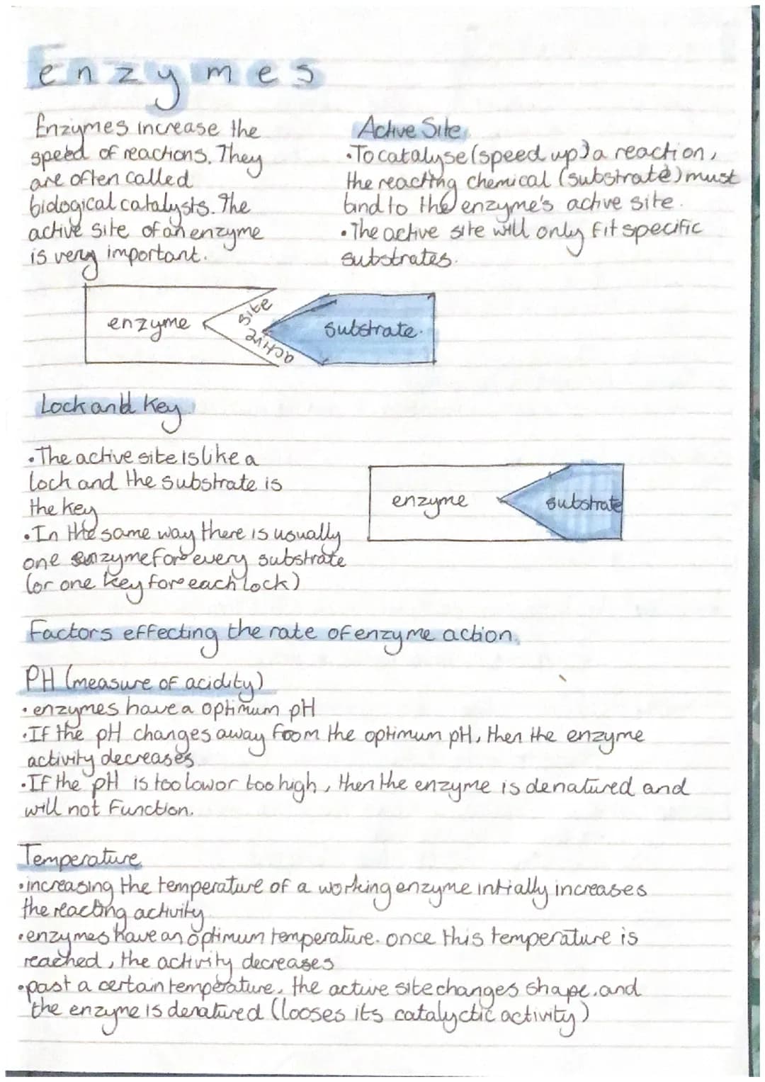 Smience
-Revision-
Biology
CELLS
all living organisms are
cells. They
, прод
provide structure and
out certain functions There
are two diffe