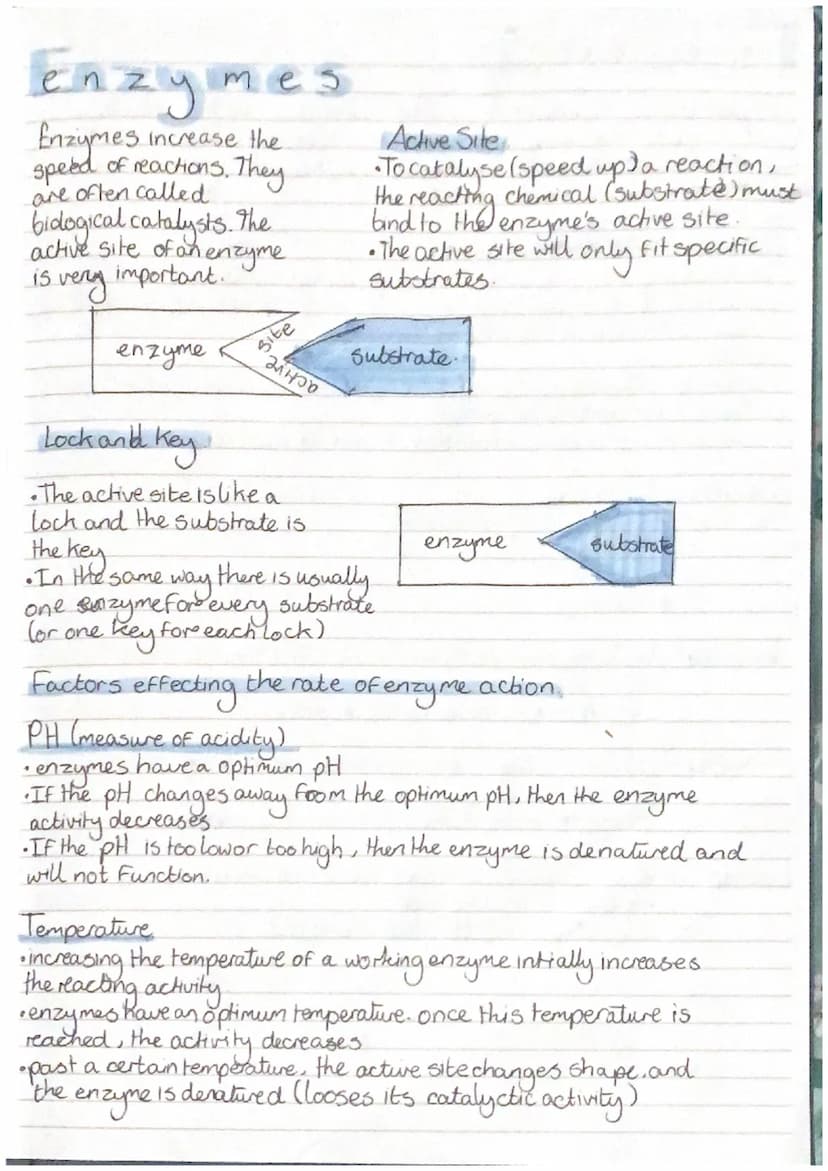 Smience
-Revision-
Biology
CELLS
all living organisms are
cells. They
, прод
provide structure and
out certain functions There
are two diffe