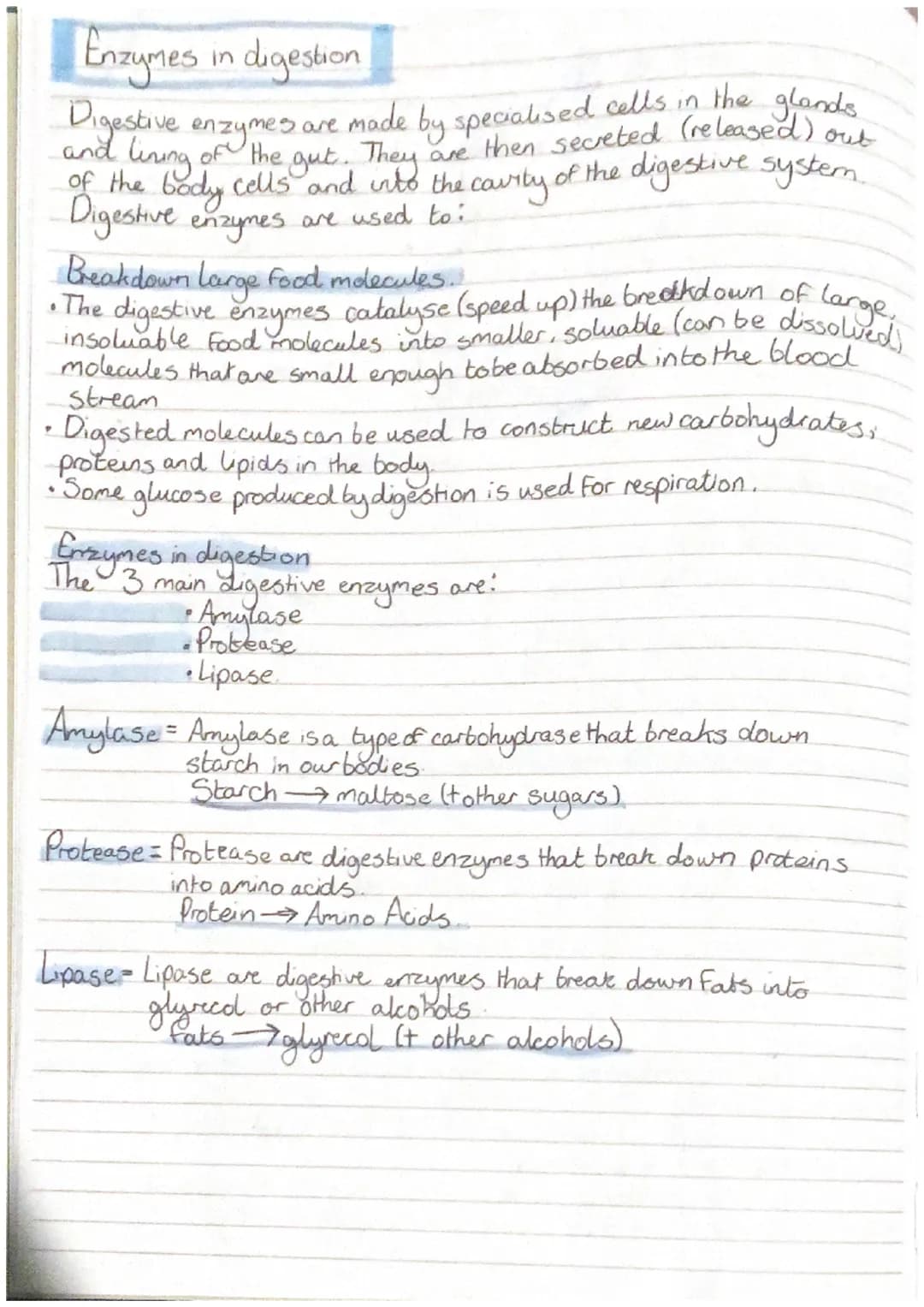 Smience
-Revision-
Biology
CELLS
all living organisms are
cells. They
, прод
provide structure and
out certain functions There
are two diffe