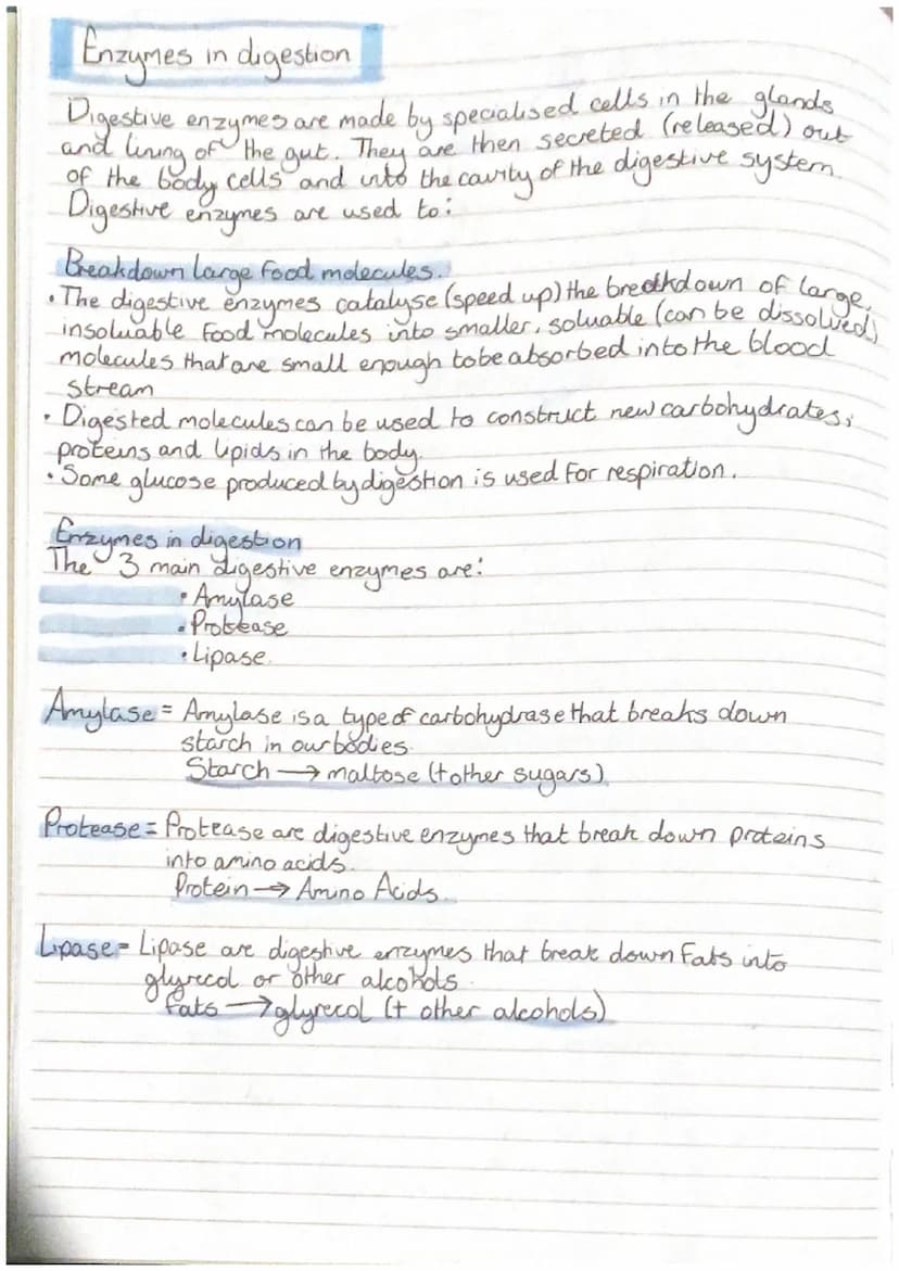 Smience
-Revision-
Biology
CELLS
all living organisms are
cells. They
, прод
provide structure and
out certain functions There
are two diffe