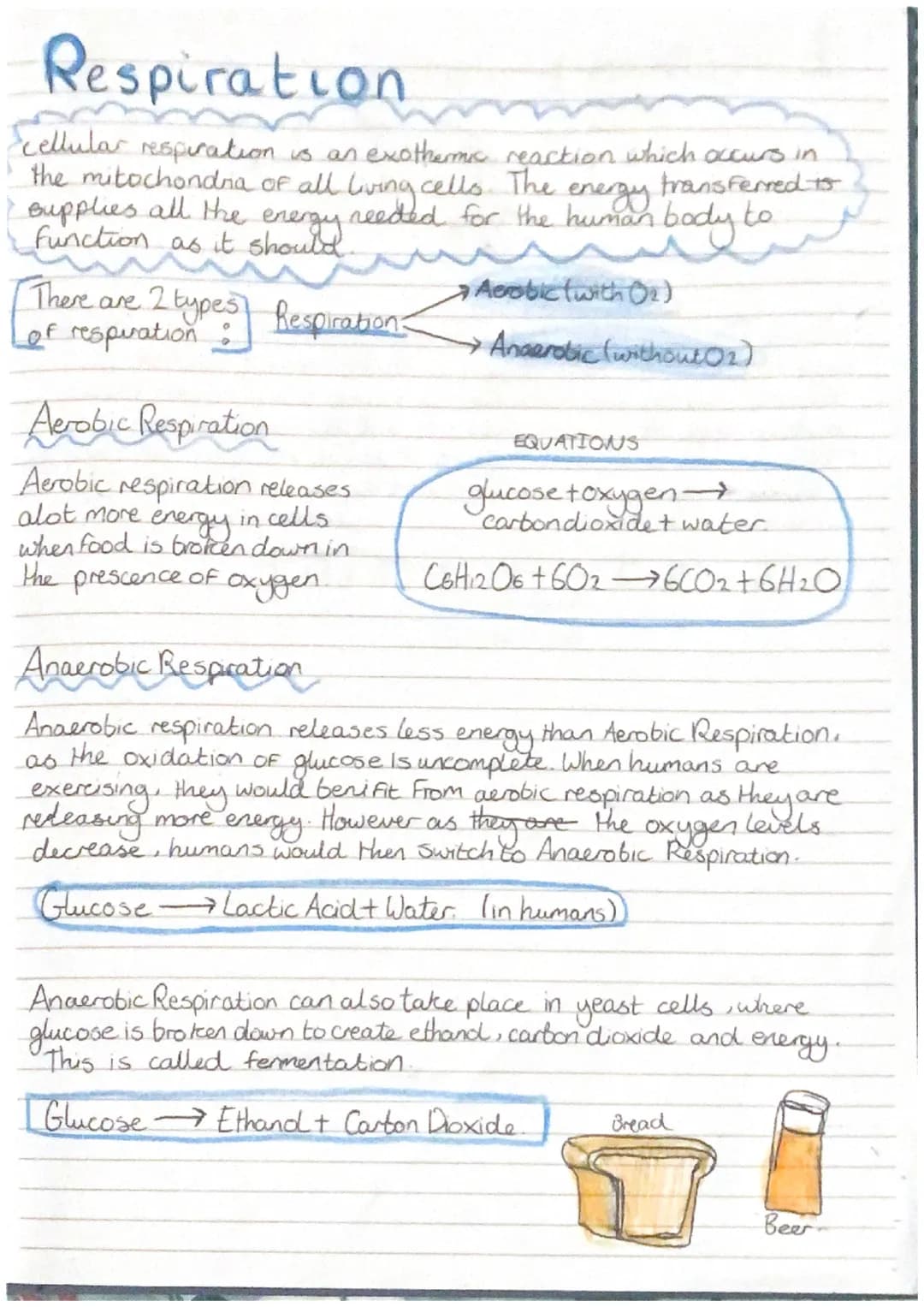 Smience
-Revision-
Biology
CELLS
all living organisms are
cells. They
, прод
provide structure and
out certain functions There
are two diffe