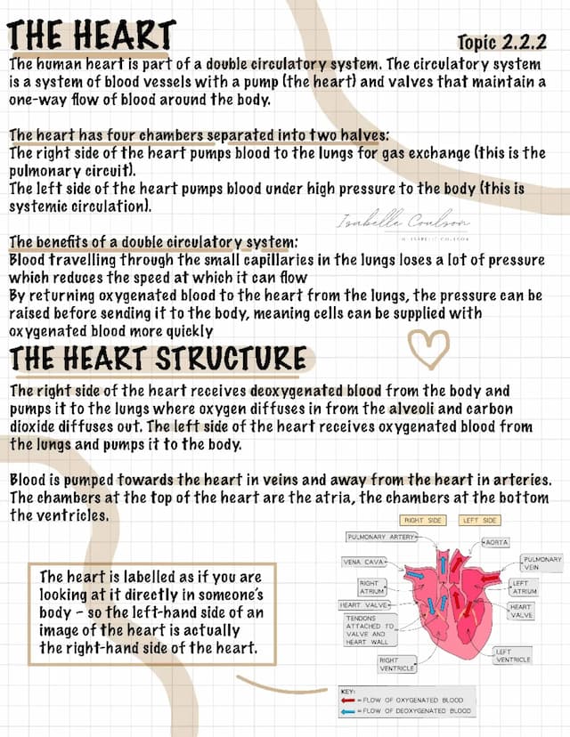 Know The Heart thumbnail