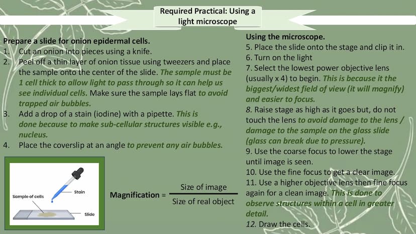 # GCSE Biology

Paper 1 # Topic 1 - Cell Biology

# Microscope

![Microscope Diagram](microscope_diagram.png)

An electron microscope has mu