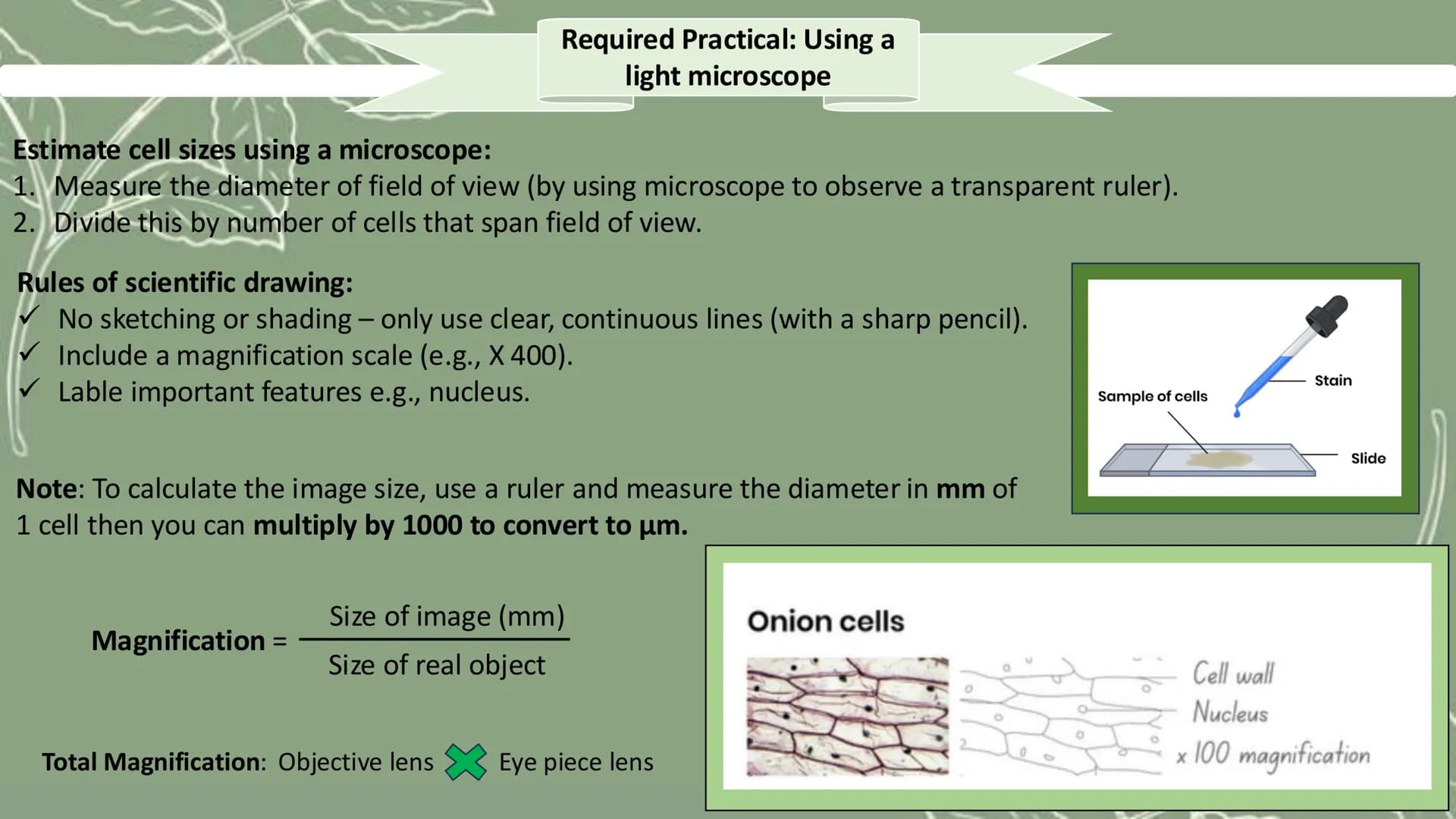 # GCSE Biology

Paper 1 # Topic 1 - Cell Biology

# Microscope

![Microscope Diagram](microscope_diagram.png)

An electron microscope has mu