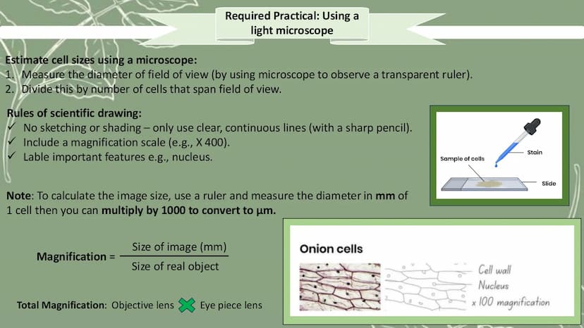 # GCSE Biology

Paper 1 # Topic 1 - Cell Biology

# Microscope

![Microscope Diagram](microscope_diagram.png)

An electron microscope has mu