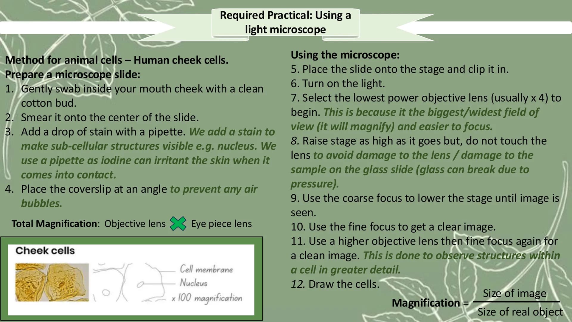 # GCSE Biology

Paper 1 # Topic 1 - Cell Biology

# Microscope

![Microscope Diagram](microscope_diagram.png)

An electron microscope has mu