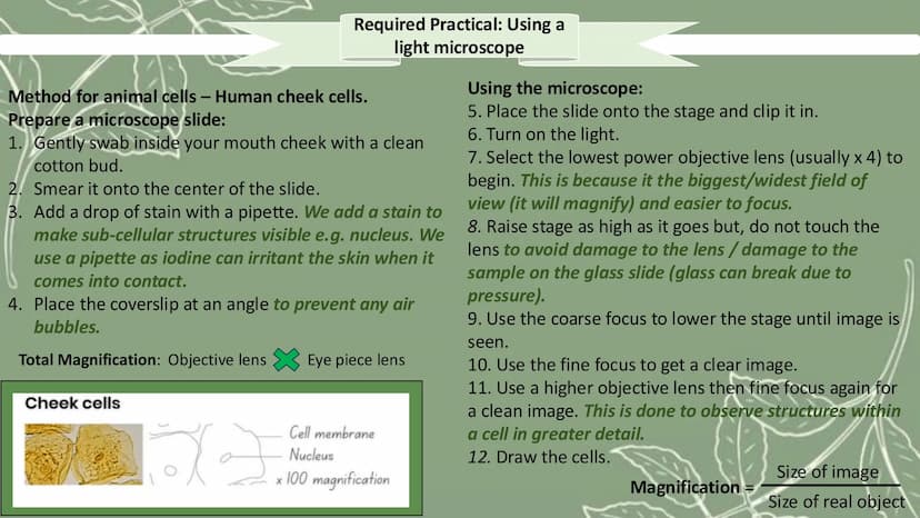 # GCSE Biology

Paper 1 # Topic 1 - Cell Biology

# Microscope

![Microscope Diagram](microscope_diagram.png)

An electron microscope has mu
