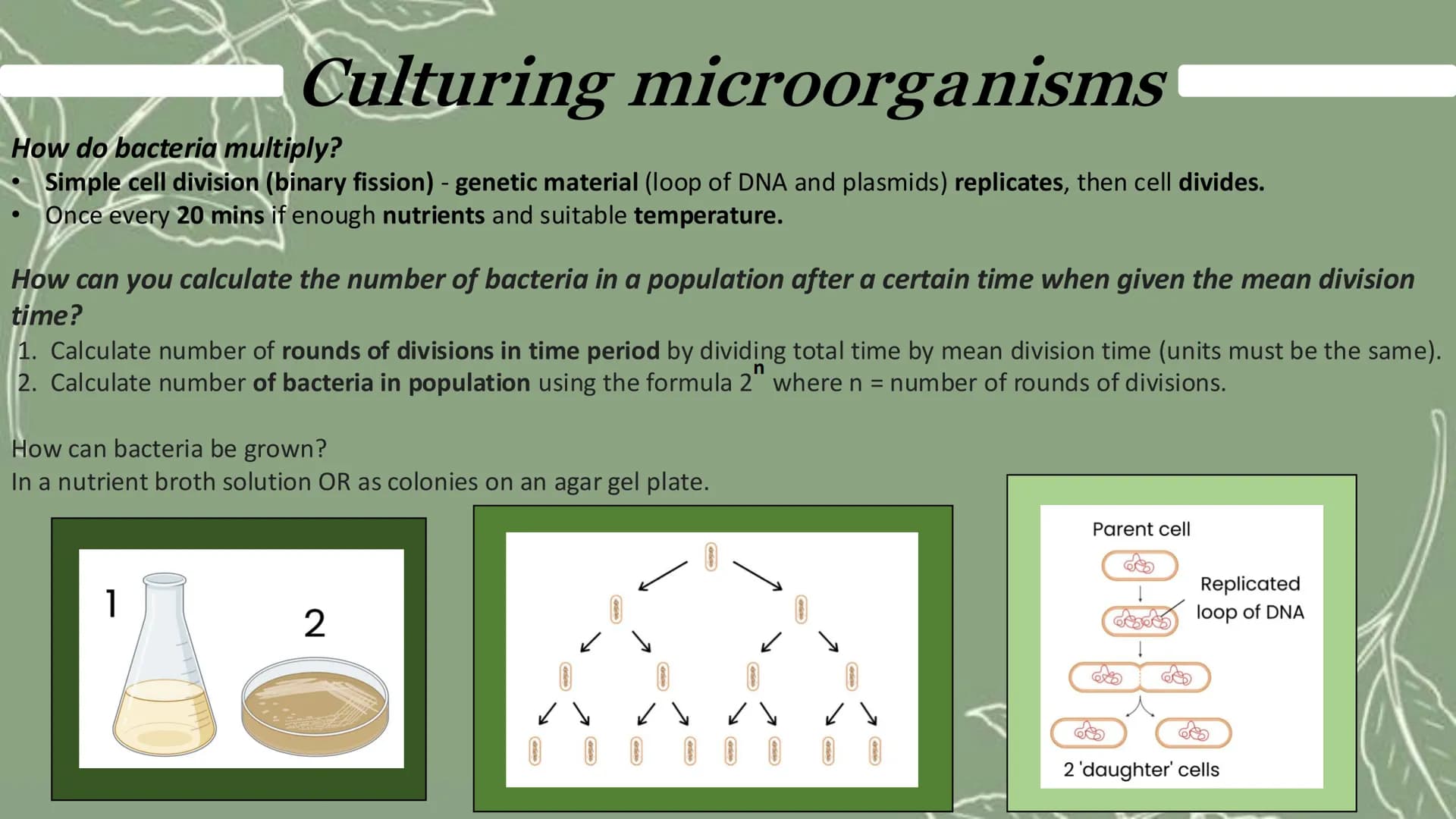 # GCSE Biology

Paper 1 # Topic 1 - Cell Biology

# Microscope

![Microscope Diagram](microscope_diagram.png)

An electron microscope has mu