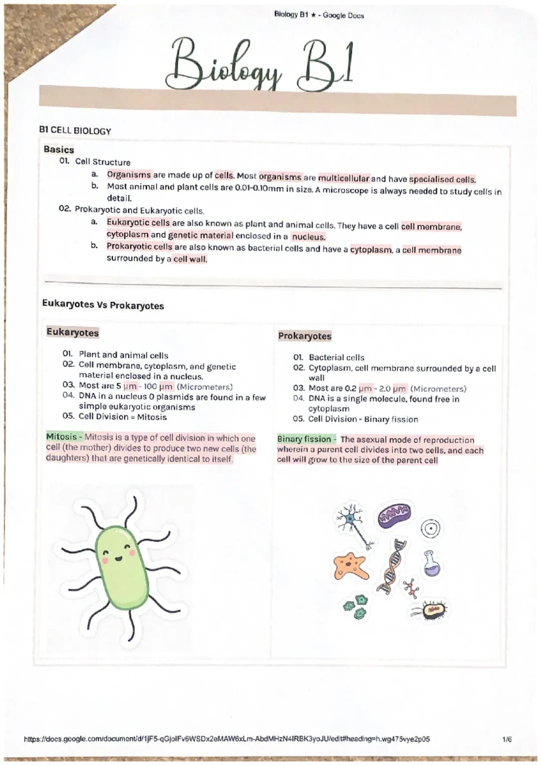 B1 CELL BIOLOGY
Basics
01. Cell Structure
Biology Bl
a. Organisms are made up of cells. Most organisms are multicellular and have specialise