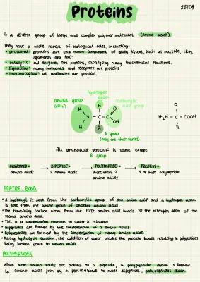 Know Proteins thumbnail