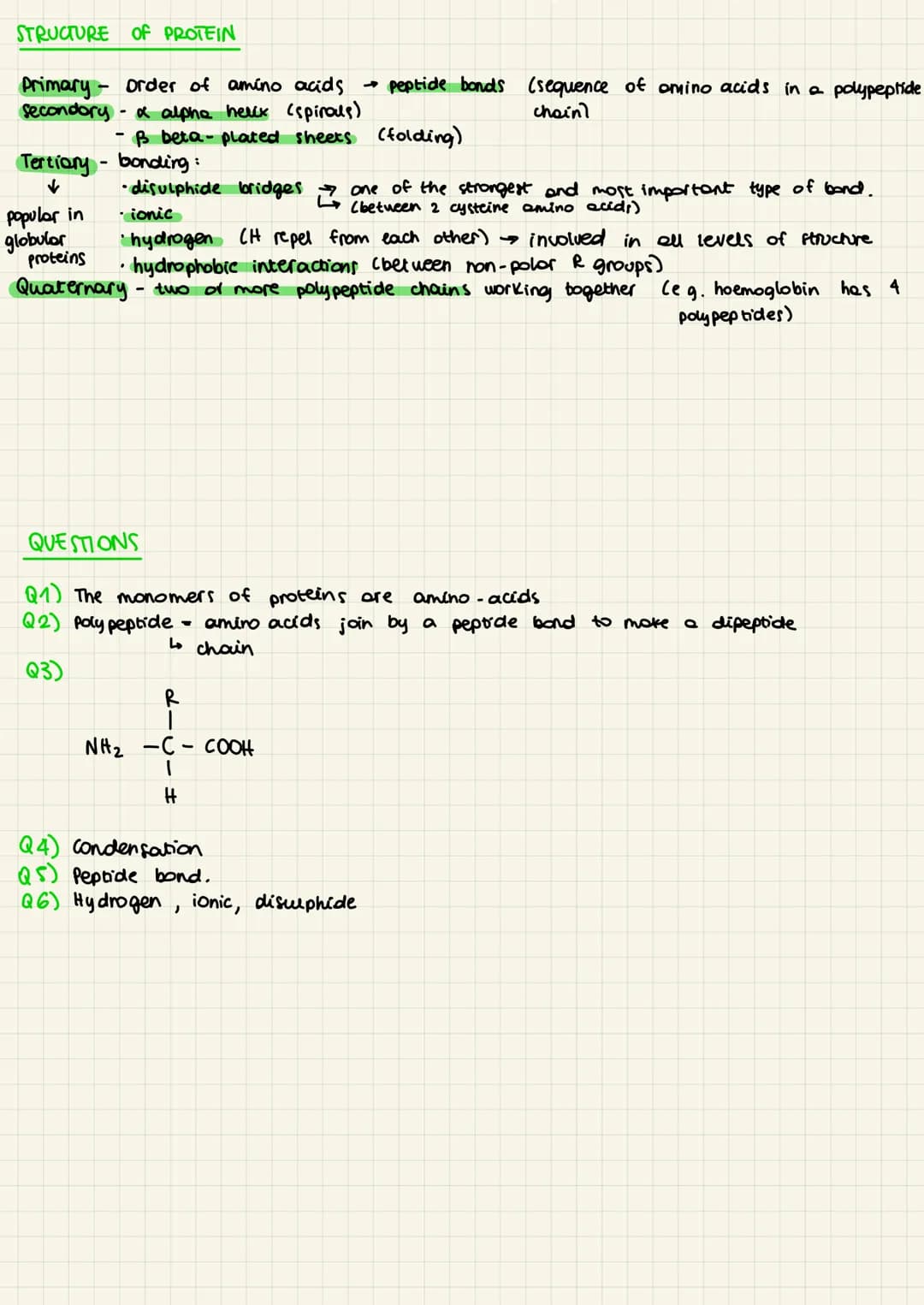 •
Proteins
●
↳ a diverse group of lange and complex polymer molecules
They have a wide range of biological roles, including:
• structural pr