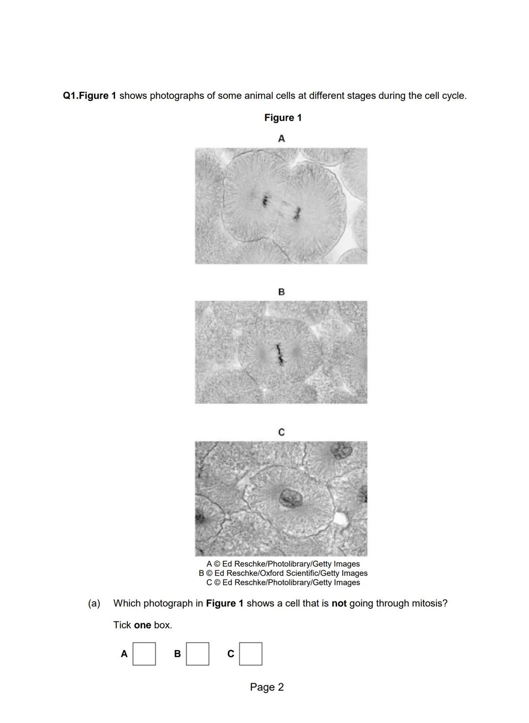 Q1.Figure 1 shows photographs of some animal cells at different stages during the cell cycle.
Figure 1
A
(a)
A Ed Reschke/Photolibrary/Getty