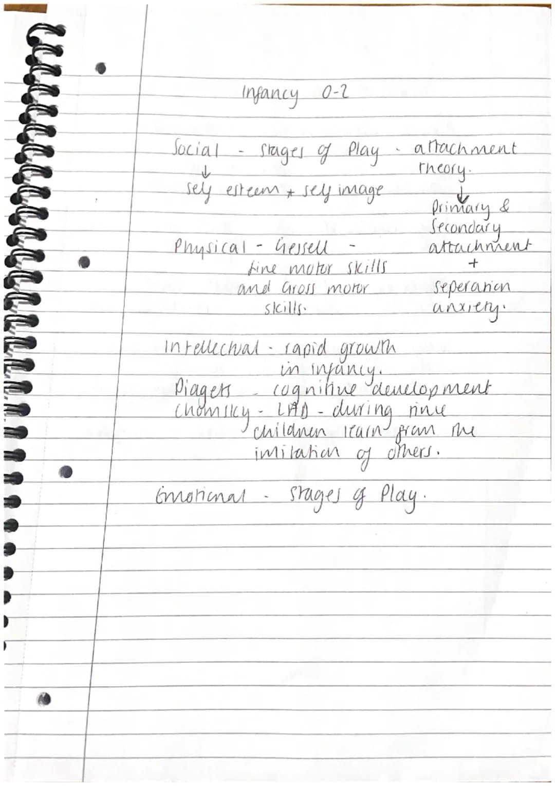 <h2 id="lifestagesinhealthandsocialcare">Life Stages in Health and Social Care</h2>
<p>Life stages in health and social care involve various