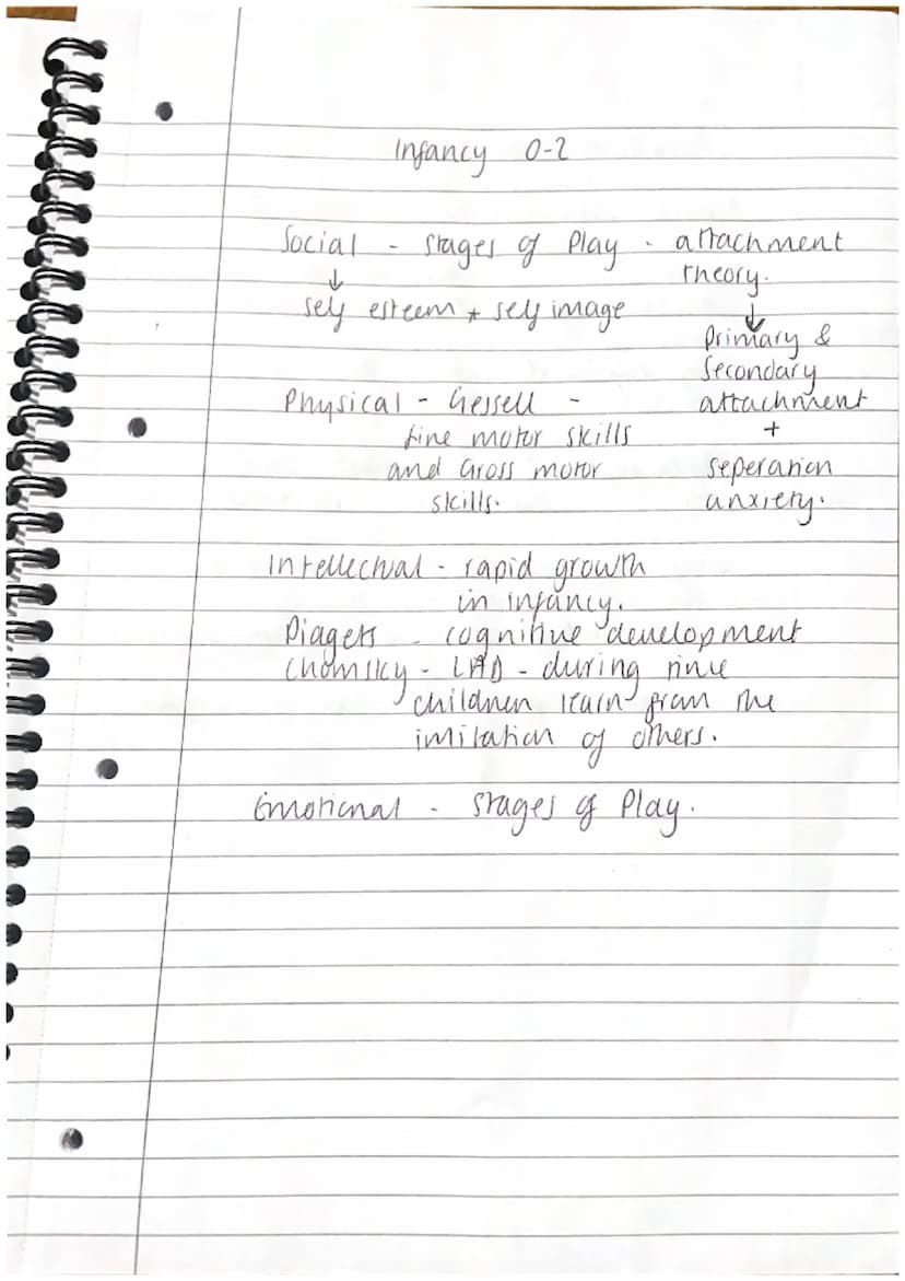 <h2 id="lifestagesinhealthandsocialcare">Life Stages in Health and Social Care</h2>
<p>Life stages in health and social care involve various