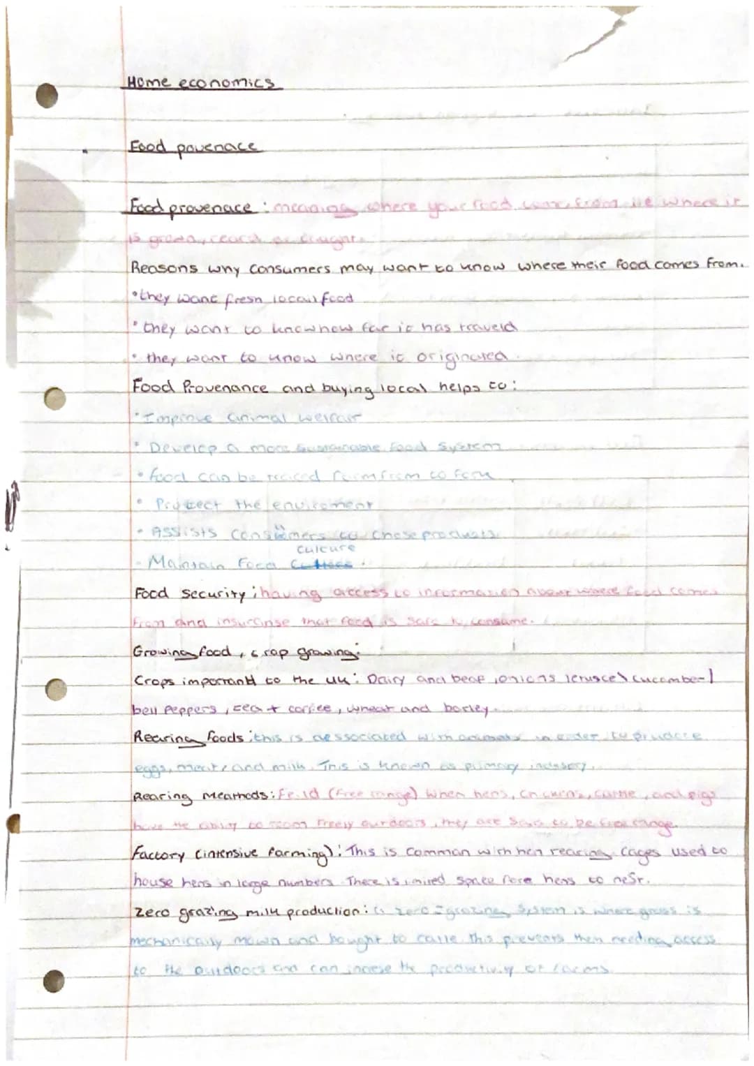 imput
Process -
Out put -
Primary -
Seconciary
Home Econeimniss
Food production sonel pros
Food processing : term used to describe the
chang