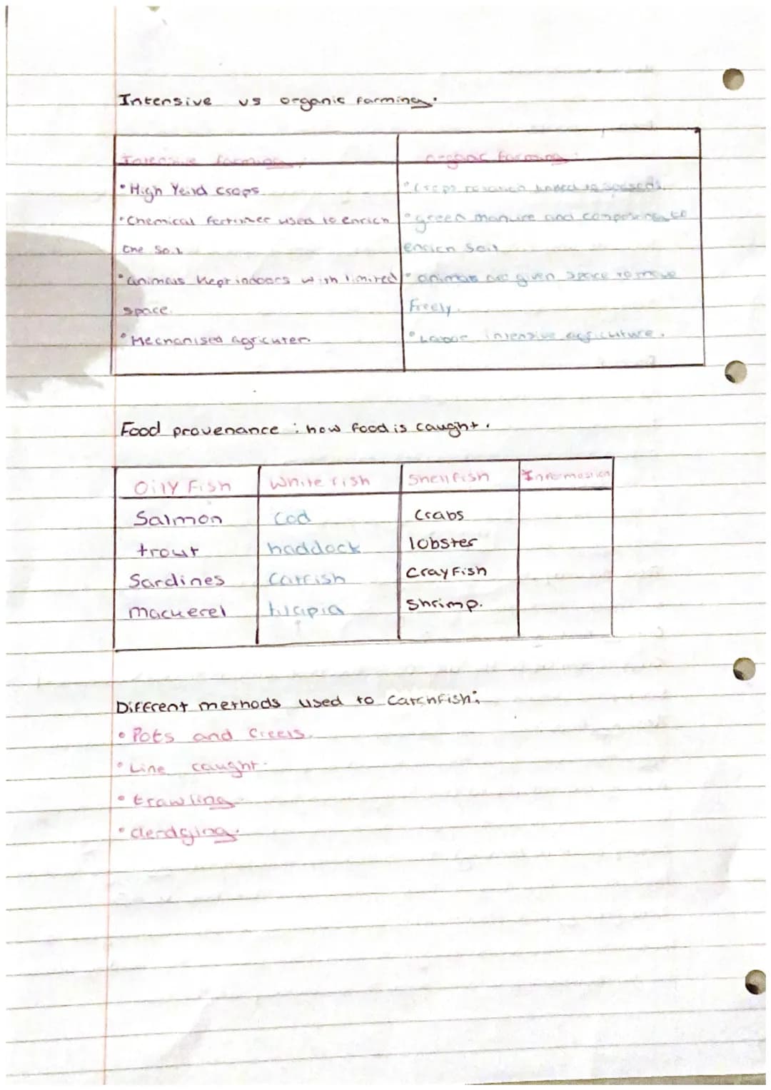 imput
Process -
Out put -
Primary -
Seconciary
Home Econeimniss
Food production sonel pros
Food processing : term used to describe the
chang
