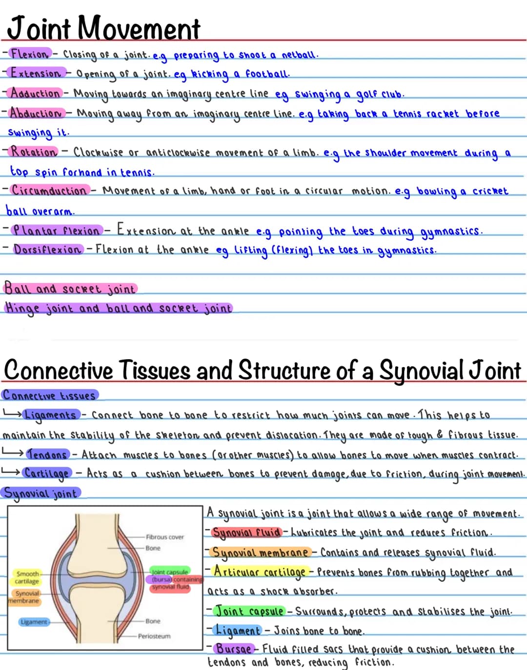 The Skeletal System - Functions
-Support / shape
The skeleton provides a ridgid bone frame for the rest of the body. This supports the soft
