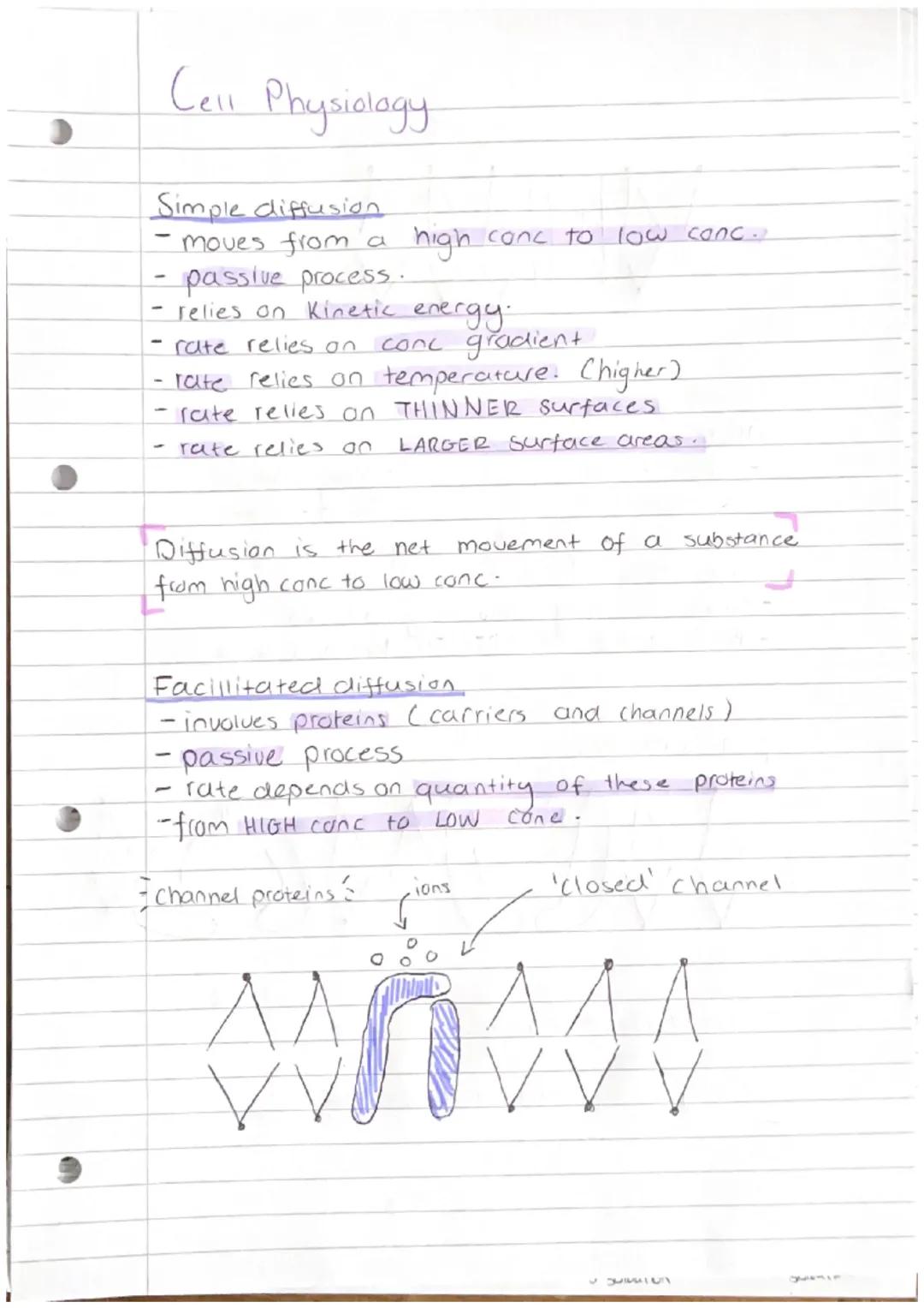 Cell Physiology

Simple diffusion
- moves from a high conc to low conc.
- passive process.
- relies on Kinetic energy.
- rate relies on conc