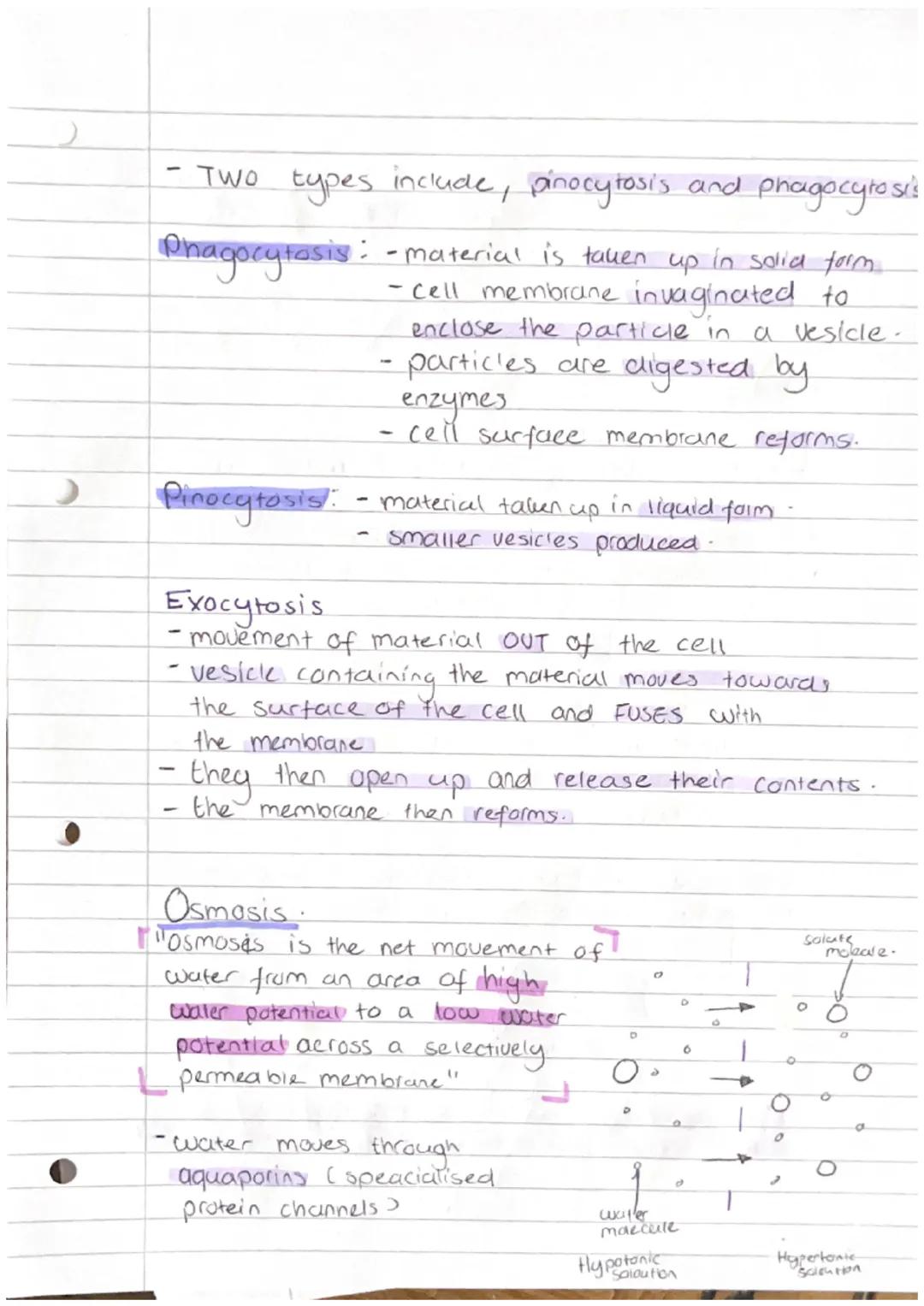 Cell Physiology

Simple diffusion
- moves from a high conc to low conc.
- passive process.
- relies on Kinetic energy.
- rate relies on conc