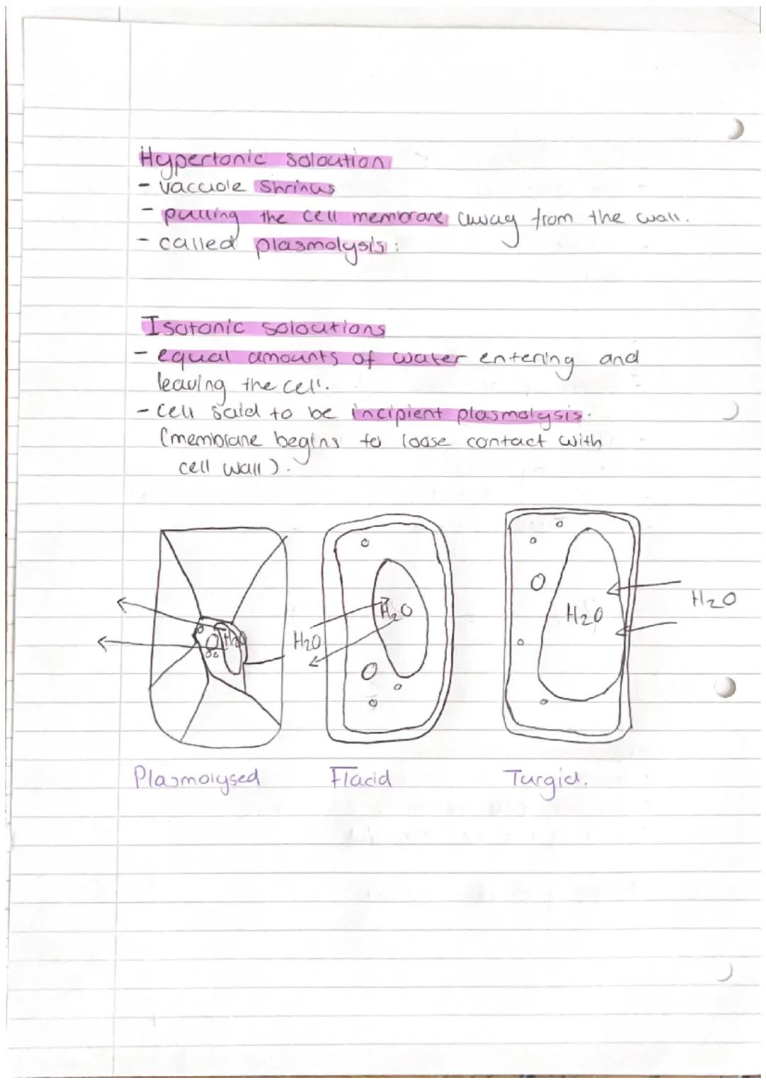 Cell Physiology

Simple diffusion
- moves from a high conc to low conc.
- passive process.
- relies on Kinetic energy.
- rate relies on conc