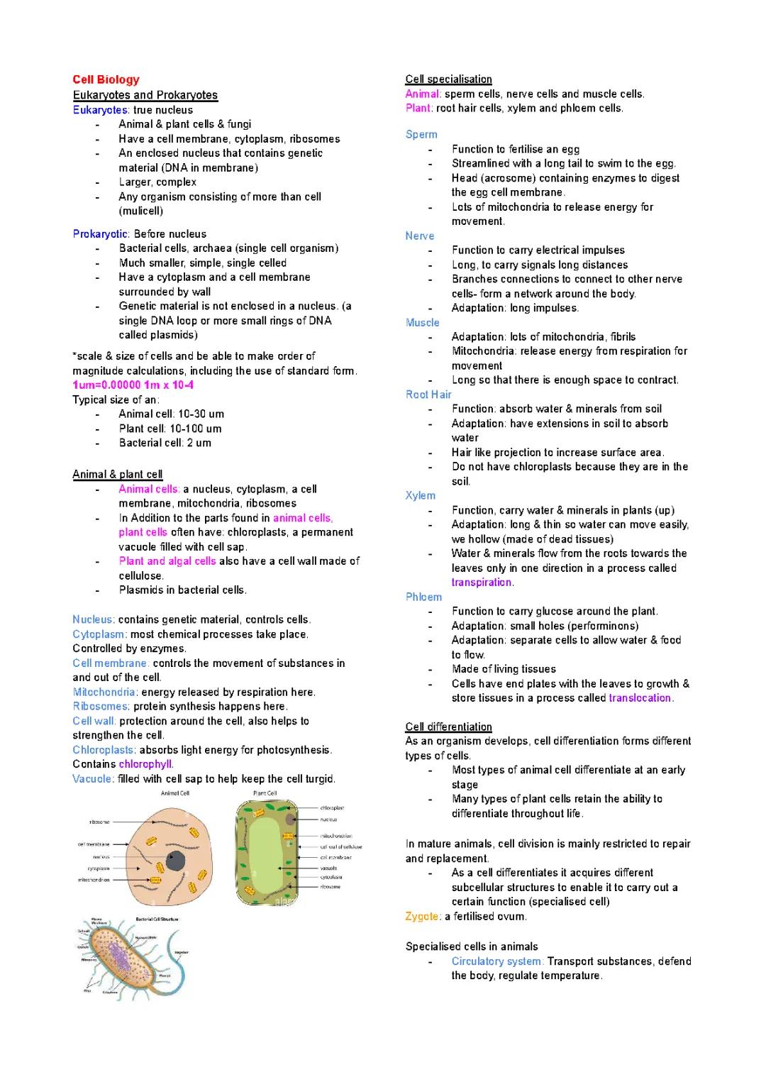 Key Biology Topics for GCSE: BBC Bitesize Cell Structure and Eukaryotes vs Prokaryotes