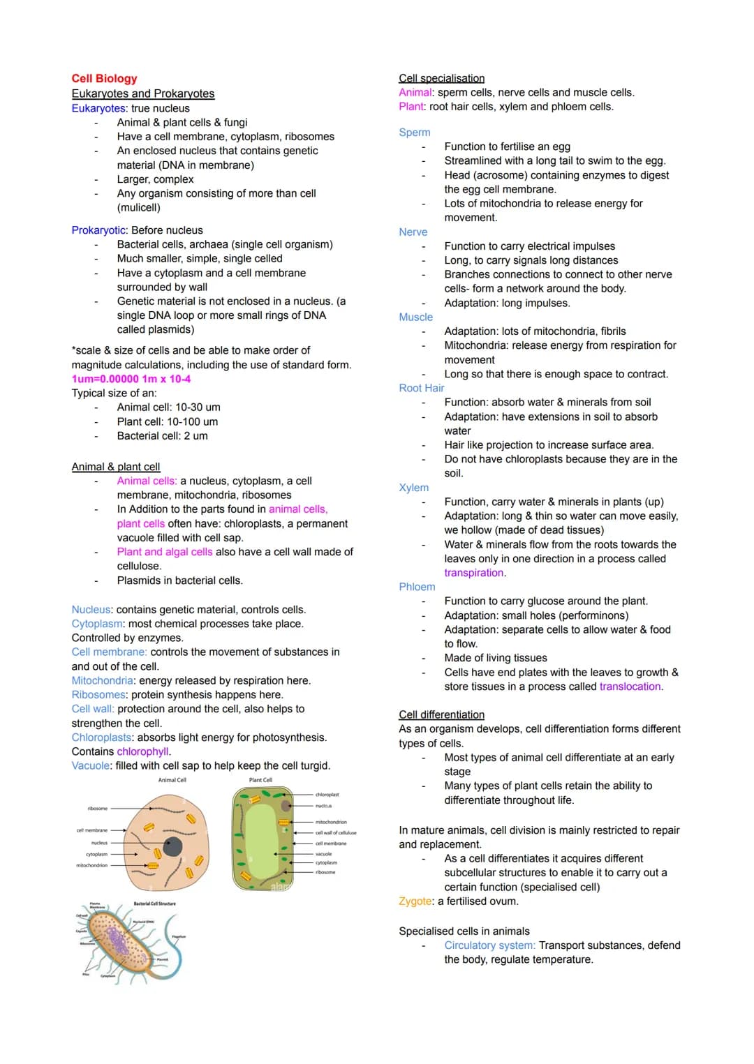 Cell Biology
Eukaryotes and Prokaryotes
Eukaryotes: true nucleus
Prokaryotic: Before nucleus
Animal & plant cells & fungi
Have a cell membra