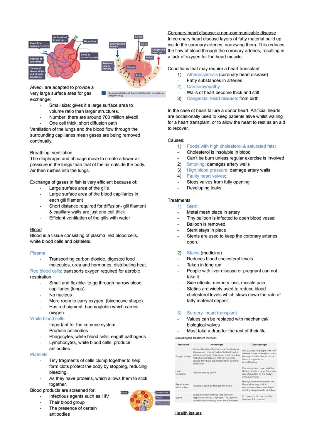 Cell Biology
Eukaryotes and Prokaryotes
Eukaryotes: true nucleus
Prokaryotic: Before nucleus
Animal & plant cells & fungi
Have a cell membra