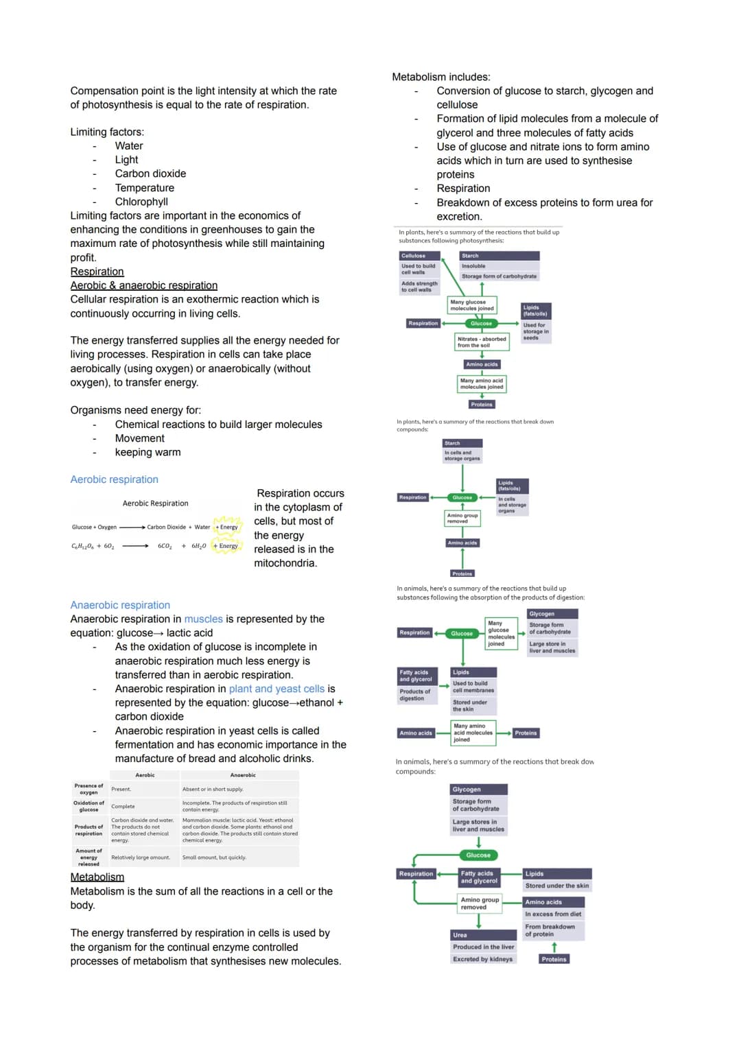 Cell Biology
Eukaryotes and Prokaryotes
Eukaryotes: true nucleus
Prokaryotic: Before nucleus
Animal & plant cells & fungi
Have a cell membra