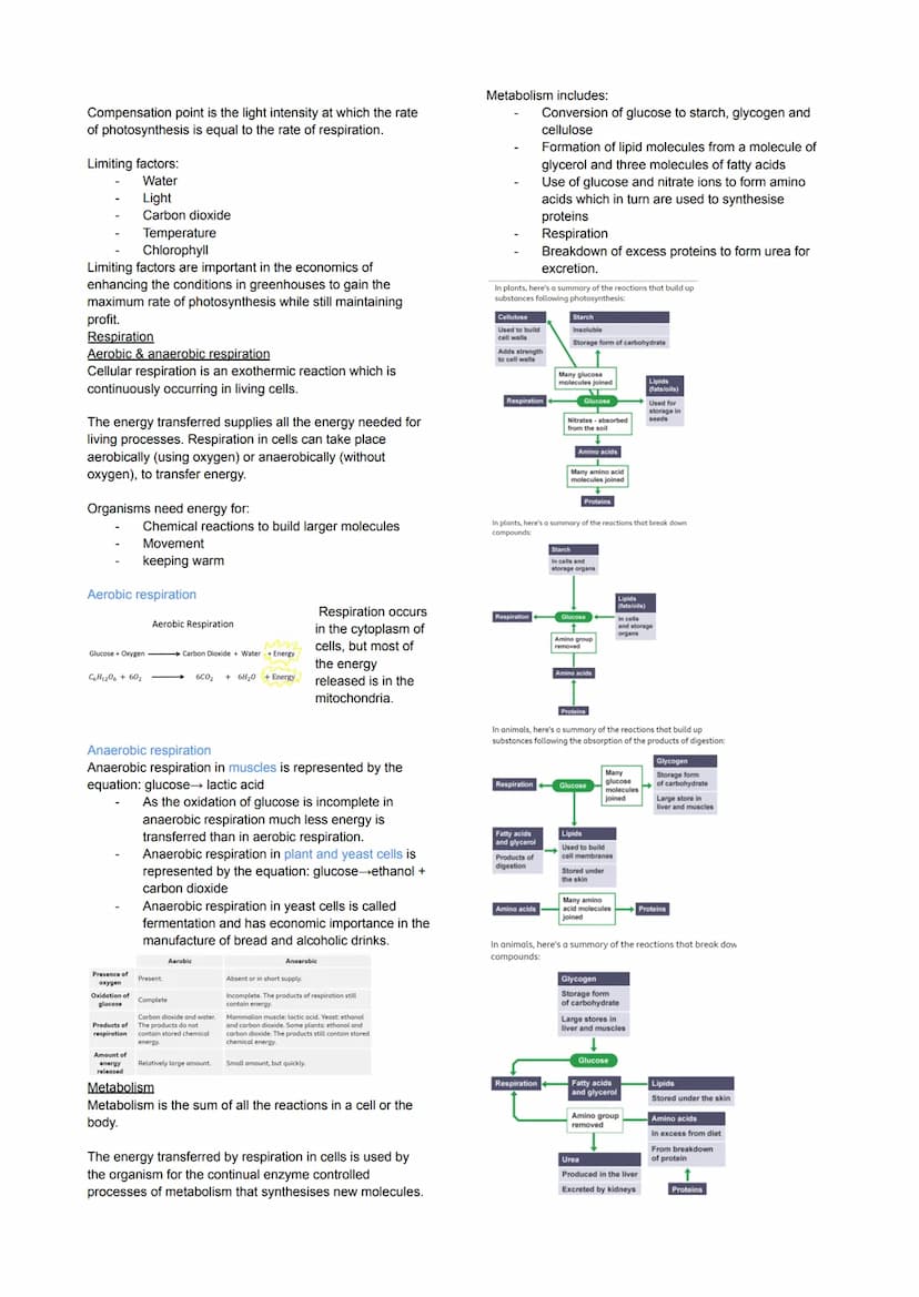 Cell Biology
Eukaryotes and Prokaryotes
Eukaryotes: true nucleus
Prokaryotic: Before nucleus
Animal & plant cells & fungi
Have a cell membra
