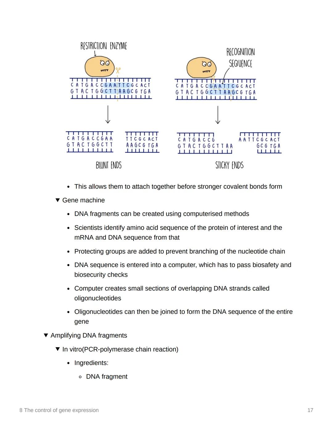 8 The control of gene expression
EAS/A level A level
3.8.1 Alteration of the sequence of bases in DNA alters the structure of proteins
▾ Sub