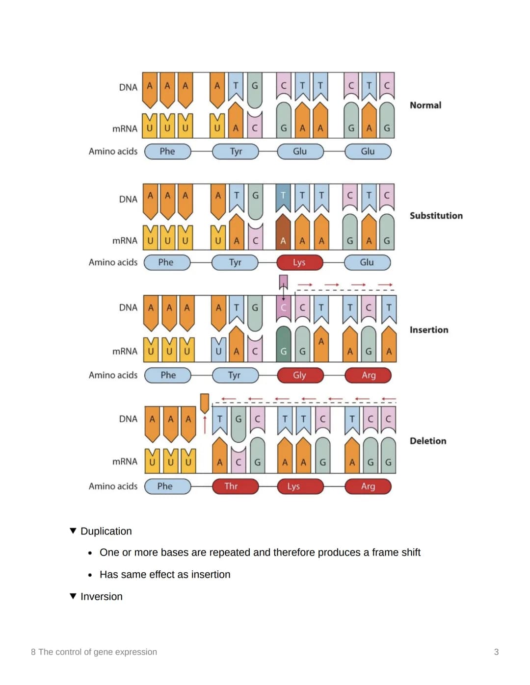 8 The control of gene expression
EAS/A level A level
3.8.1 Alteration of the sequence of bases in DNA alters the structure of proteins
▾ Sub