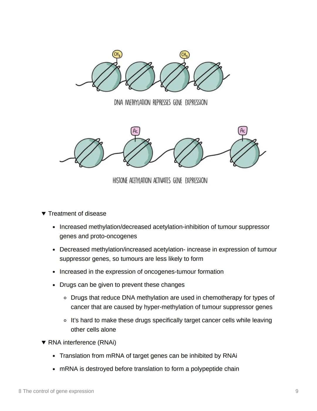 8 The control of gene expression
EAS/A level A level
3.8.1 Alteration of the sequence of bases in DNA alters the structure of proteins
▾ Sub