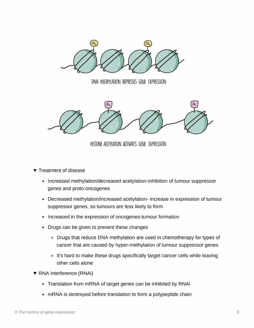 8 The control of gene expression
EAS/A level A level
3.8.1 Alteration of the sequence of bases in DNA alters the structure of proteins
▾ Sub